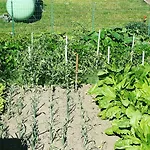 Szálloda Le Relais 3*